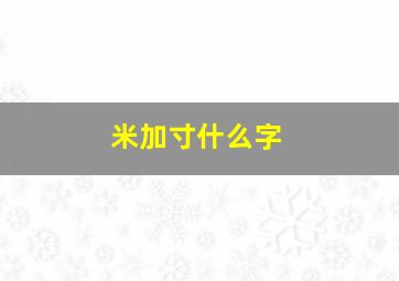 米加寸什么字