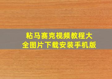 粘马赛克视频教程大全图片下载安装手机版