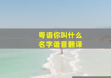 粤语你叫什么名字谐音翻译