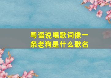 粤语说唱歌词像一条老狗是什么歌名