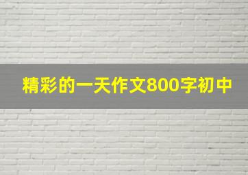 精彩的一天作文800字初中