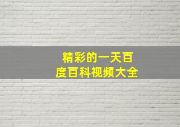 精彩的一天百度百科视频大全