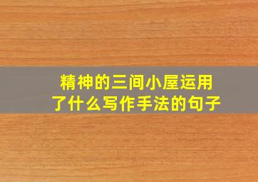 精神的三间小屋运用了什么写作手法的句子