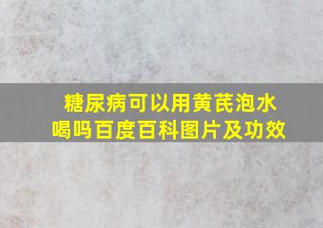 糖尿病可以用黄芪泡水喝吗百度百科图片及功效