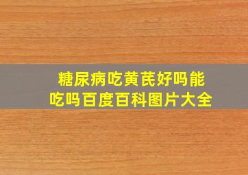 糖尿病吃黄芪好吗能吃吗百度百科图片大全