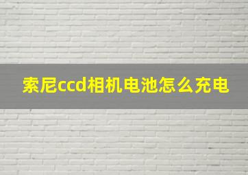 索尼ccd相机电池怎么充电