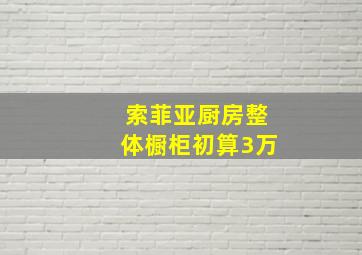 索菲亚厨房整体橱柜初算3万