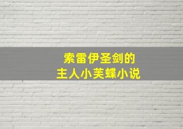 索雷伊圣剑的主人小芙蝶小说