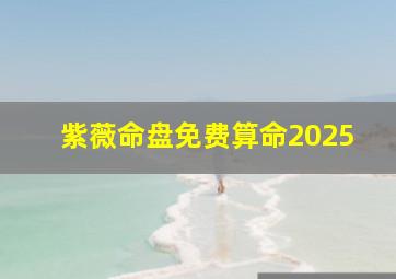 紫薇命盘免费算命2025