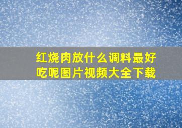 红烧肉放什么调料最好吃呢图片视频大全下载