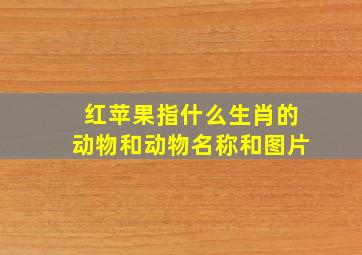 红苹果指什么生肖的动物和动物名称和图片