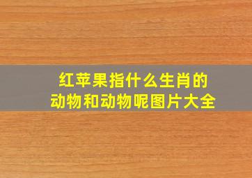 红苹果指什么生肖的动物和动物呢图片大全