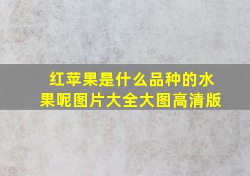 红苹果是什么品种的水果呢图片大全大图高清版