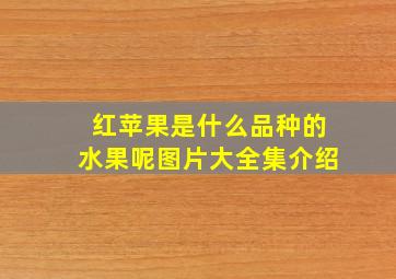 红苹果是什么品种的水果呢图片大全集介绍