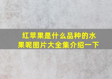 红苹果是什么品种的水果呢图片大全集介绍一下