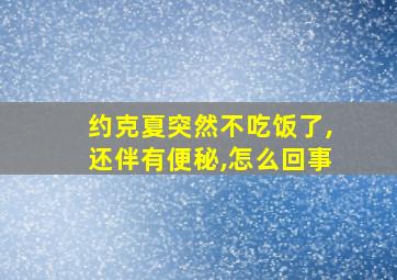 约克夏突然不吃饭了,还伴有便秘,怎么回事