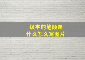 级字的笔顺是什么怎么写图片