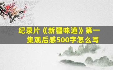 纪录片《新疆味道》第一集观后感500字怎么写