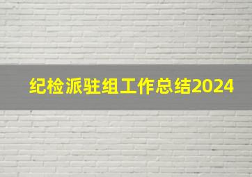 纪检派驻组工作总结2024