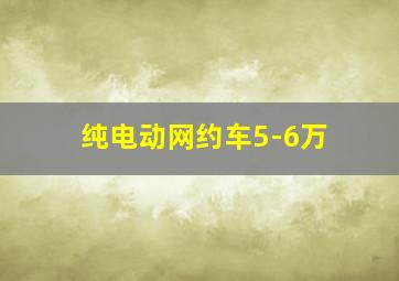 纯电动网约车5-6万