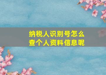 纳税人识别号怎么查个人资料信息呢