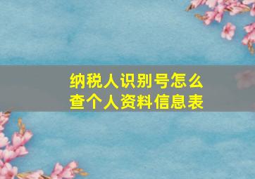 纳税人识别号怎么查个人资料信息表