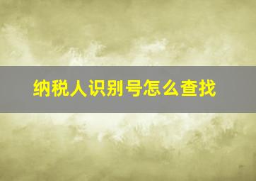 纳税人识别号怎么查找