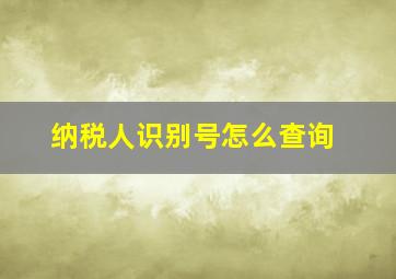 纳税人识别号怎么查询