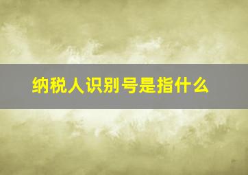 纳税人识别号是指什么