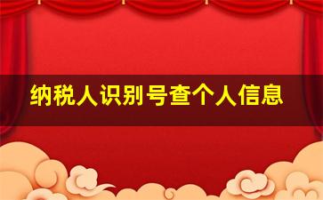 纳税人识别号查个人信息