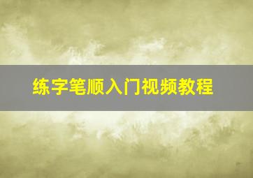 练字笔顺入门视频教程