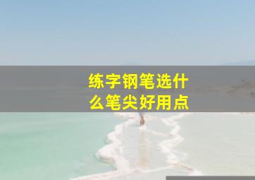 练字钢笔选什么笔尖好用点