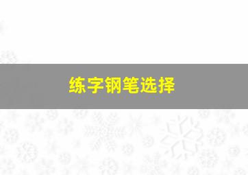 练字钢笔选择