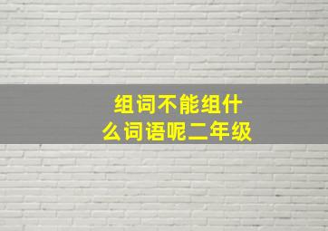 组词不能组什么词语呢二年级