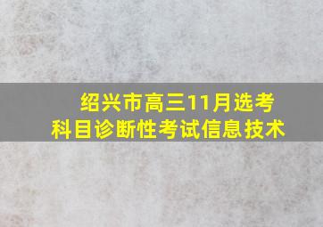 绍兴市高三11月选考科目诊断性考试信息技术