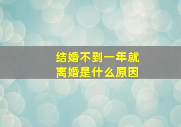 结婚不到一年就离婚是什么原因