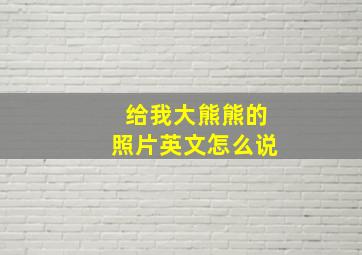 给我大熊熊的照片英文怎么说