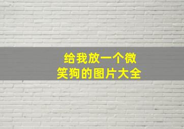 给我放一个微笑狗的图片大全