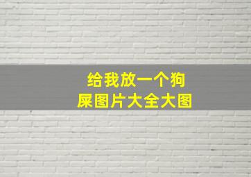 给我放一个狗屎图片大全大图