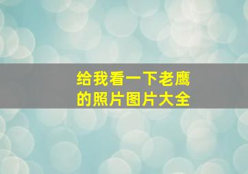 给我看一下老鹰的照片图片大全