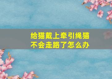 给猫戴上牵引绳猫不会走路了怎么办