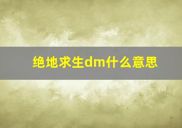 绝地求生dm什么意思