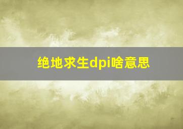 绝地求生dpi啥意思