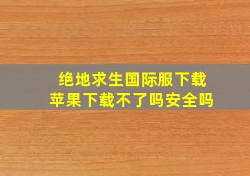 绝地求生国际服下载苹果下载不了吗安全吗