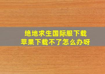 绝地求生国际服下载苹果下载不了怎么办呀