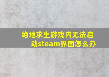 绝地求生游戏内无法启动steam界面怎么办