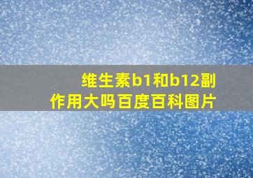 维生素b1和b12副作用大吗百度百科图片