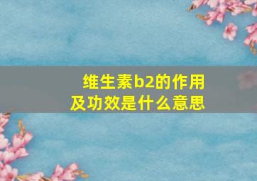 维生素b2的作用及功效是什么意思