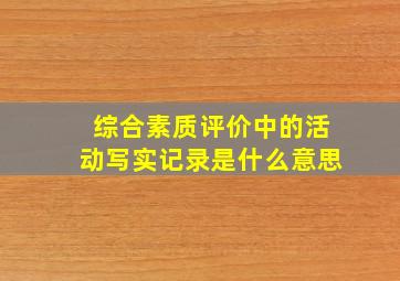 综合素质评价中的活动写实记录是什么意思