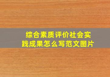 综合素质评价社会实践成果怎么写范文图片